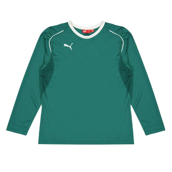 Puma Performance keepershirt met lange mouwen voor kinderen/Kinderen (Groen) - Image 1