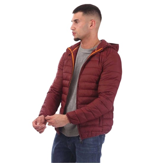 Aquascutum Heren Logo Pufferjack (Bordeaux) - Image 2