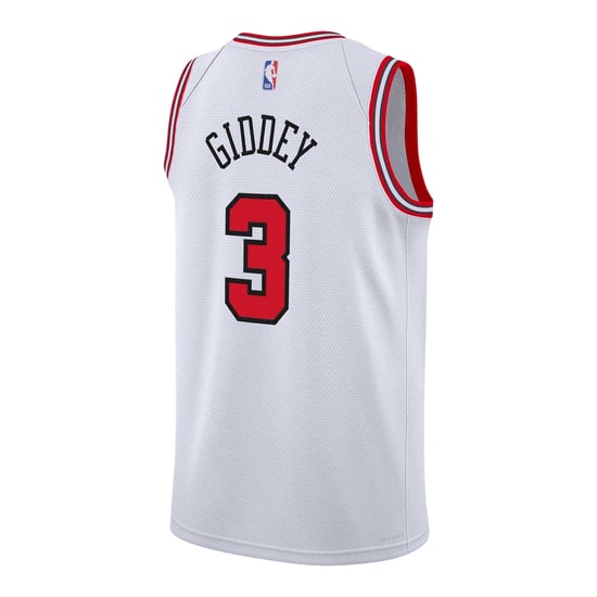 Nike Childrens/Kids Swingman Chicago Bulls Sleeveless Basketball Jersey (White) - Image 2