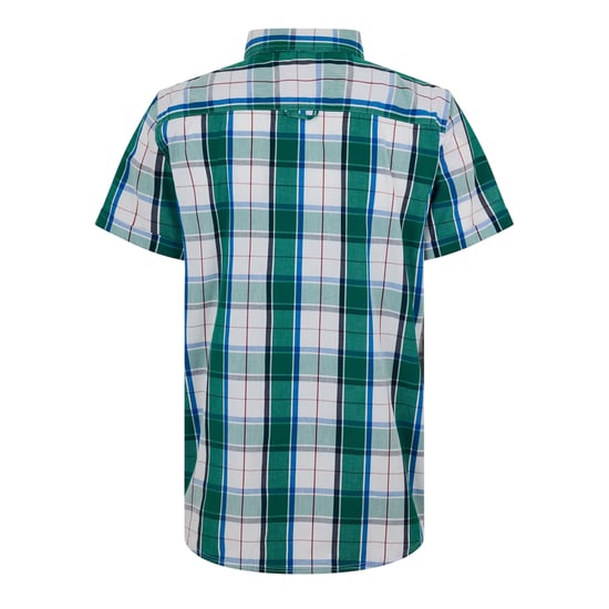 Bench Heren Geruit Relaxed Fit Overhemd (Groen) - Image 2