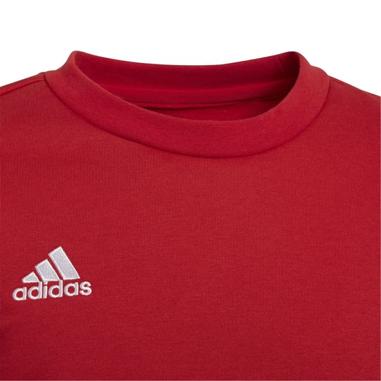 Boys adidas Ent22 Sweater Juniors in Red - Image 4