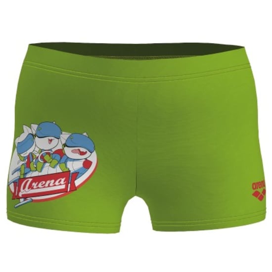 Boys Arena Swim Shorts in Soft Green - Image 2