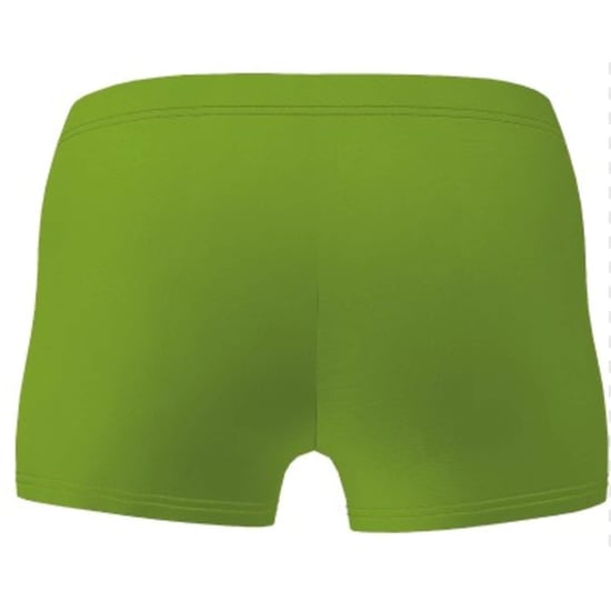 Boys Arena Swim Shorts in Soft Green - Image 3