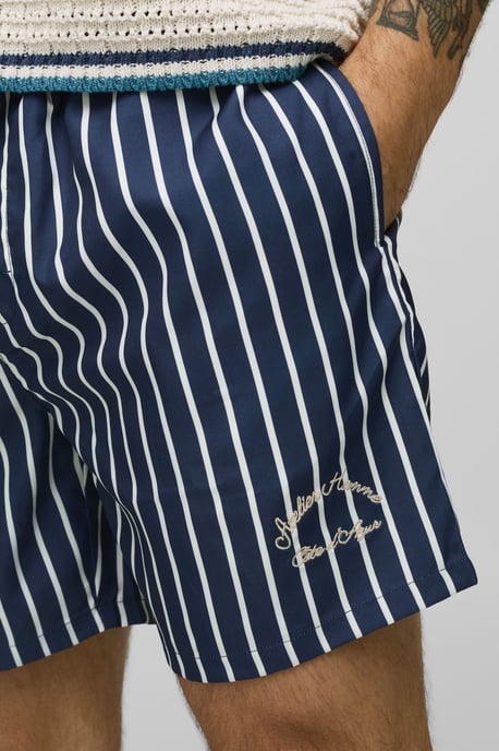 Branded Stripe Mid Length Swim Short - Image 3