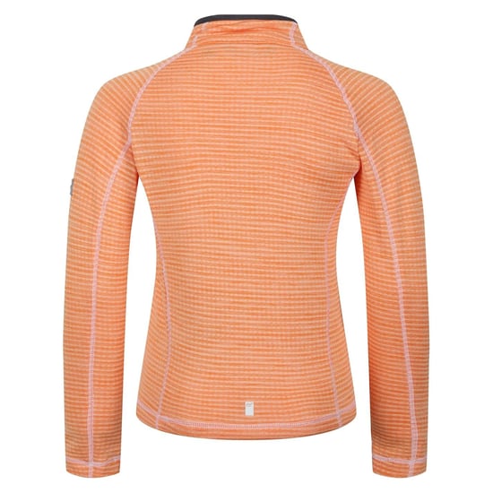 Boys Regatta Berley Stitched Funnel Neck Raglan Sleeve Sweatshirt in ApricotCrush - Image 2