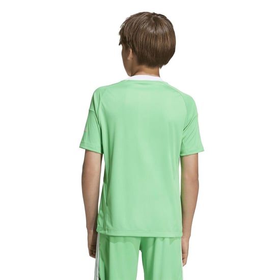 Boys adidas Arsenal Third Goalkepper 2025 2026 in Sescgr/White - Image 6