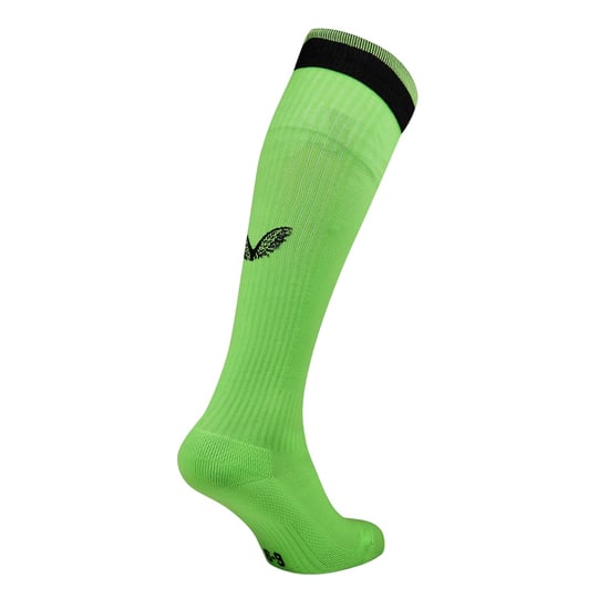 Castore Charlton Athletic FC-keeperssokken voor heren (Groen) - Image 2