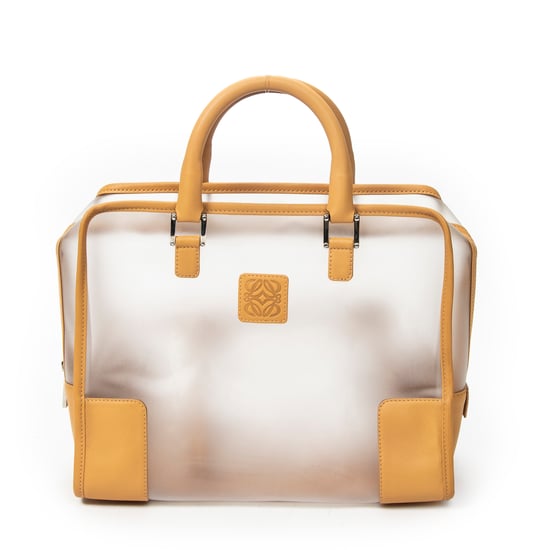 Vintage Transparent Amazona Handtas - Image 1