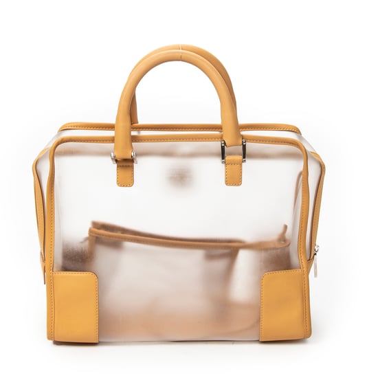 Vintage Transparent Amazona Handtas - Image 5