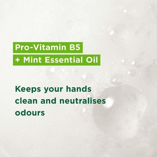 Simple Kind to Skin Gentle Care Hand Wash with Mint Oil, 6 x 250ml - Image 4