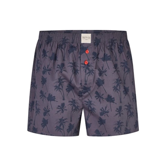 Phil & Co Wijde boxershorts heren 6-pack color d715 - Image 2