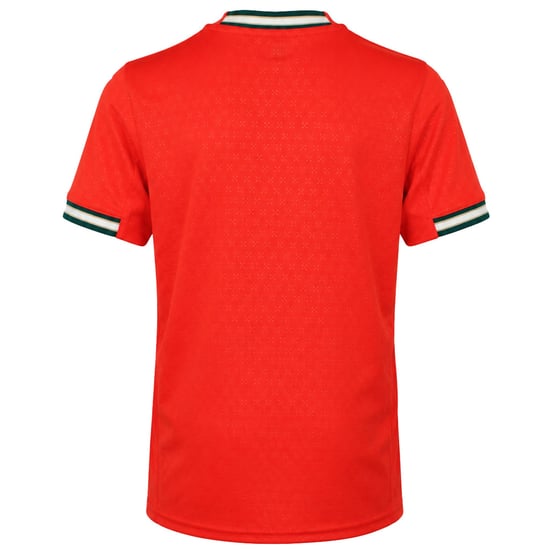 Puma Portugal 2025 Home Replica Kids Red Jersey - Image 2