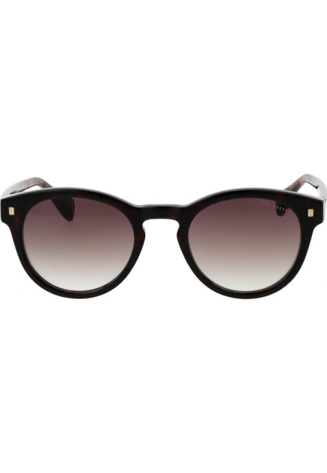 Ted Baker TB1752 Dax 119 klassieke tortoise bruin gradiënt zonnebril - Image 2