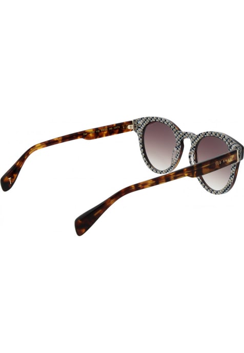 Ted Baker TB1752 Dax 119 klassieke tortoise bruin gradiënt zonnebril - Image 3