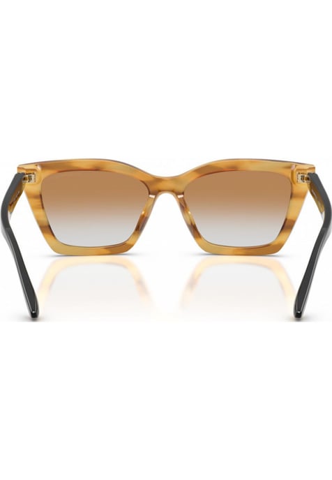 Emporio Armani EA4250U 54 62692Q Sunglasses - Image 3