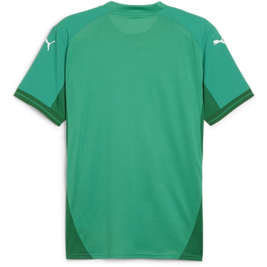 Men's Puma Teamfinal Jersey T-Shirt in Sport Green - Image 2