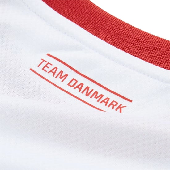 Men's Puma Dhf Away Jersey T-Shirt in White/Light Gry - Image 4