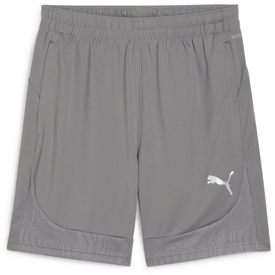 Men's Puma Teamfinal Training Football Shorts in Cast Iron/Silv - Image 1