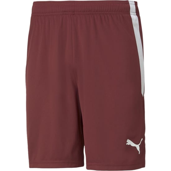 Men's Puma Teamliga Shorts Football Shorts in Cordovan/White - Image 1