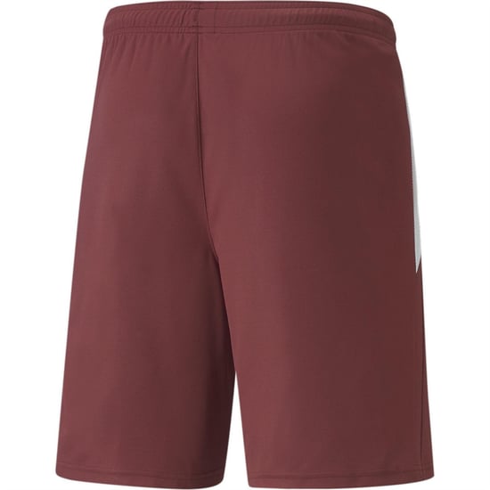 Men's Puma Teamliga Shorts Football Shorts in Cordovan/White - Image 2