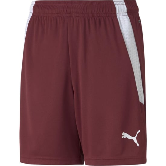 Boys Puma Teamliga Shorts Jr Football Short Unisex Kids in Cordovan-White - Image 1