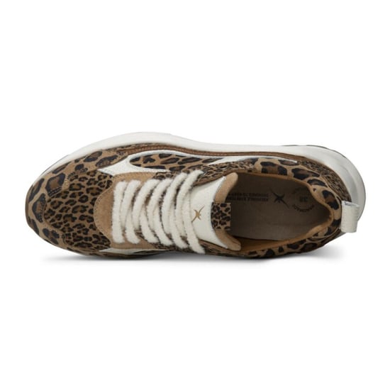 Xsensible Veterschoenen - Image 2