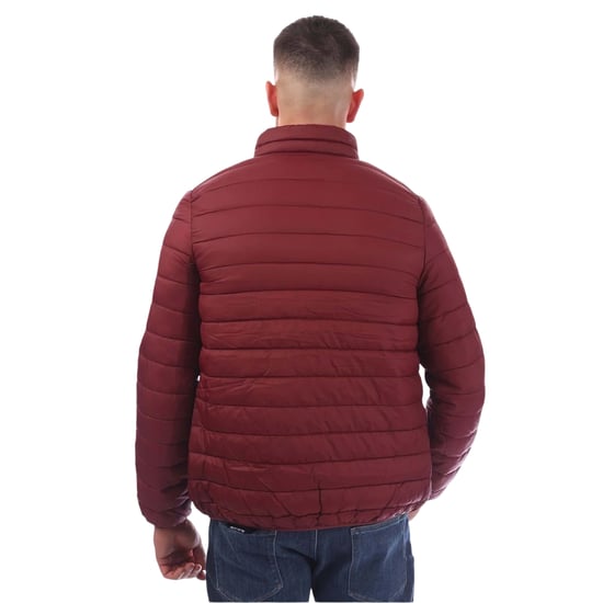 Aquascutum Heren Puffer Jas (Bordeaux) - Image 2