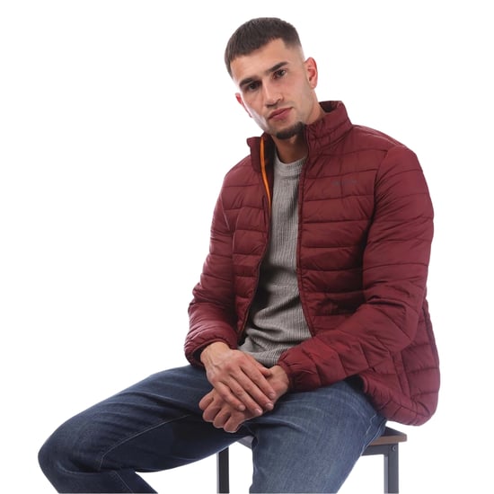 Aquascutum Heren Puffer Jas (Bordeaux) - Image 4