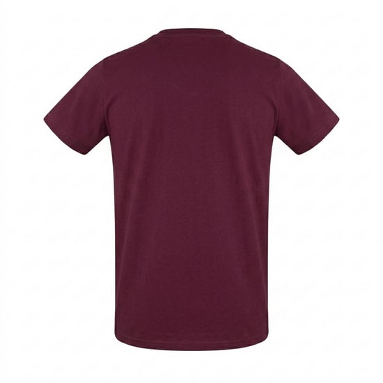 Aquascutum Heren-T-shirt ‘London 1851’ van katoenmix (Rood) - Image 2