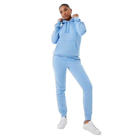 Jack Wills Womens/Ladies Astbury Pheasant Logo Relaxed Fit Hoodie (Blue) - Image 1