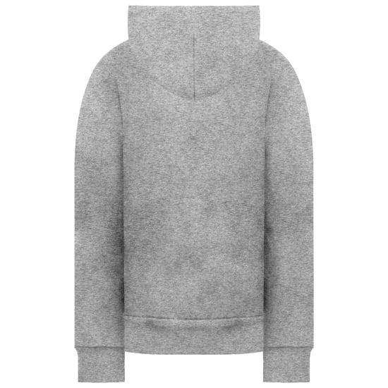 Champion x Coca Cola Mens Grey Hoodie - Image 2