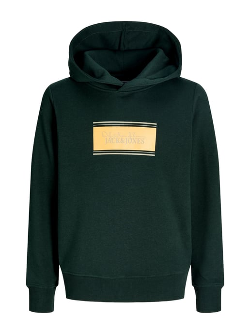 Jack & Jones Junior Hoodie - Image 1