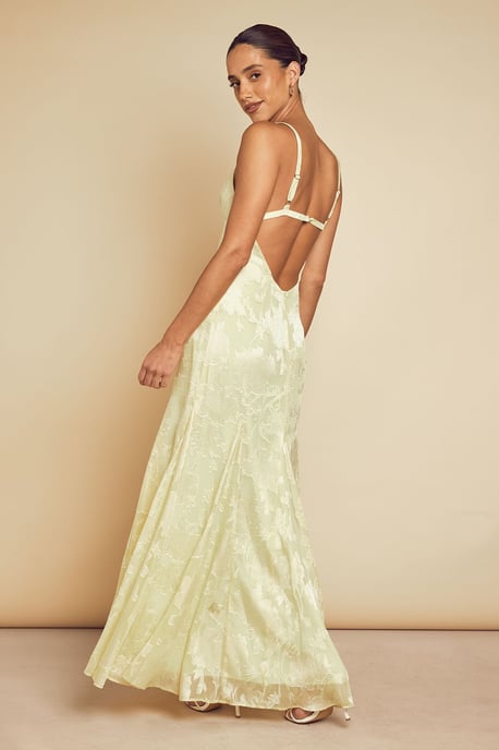 Chiffon Floral Burnout Maxi Dress - Image 3