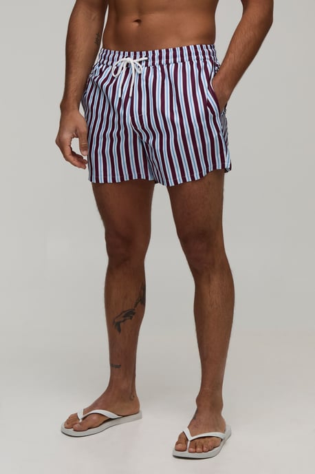 Stripe Short Length Swim Short - Image 1