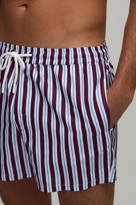 Stripe Short Length Swim Short - Image 3