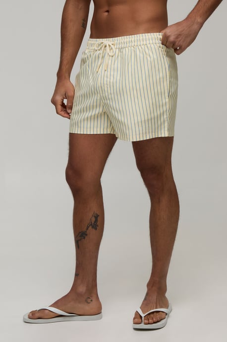 Stripe Short Length Swim Short - Image 1