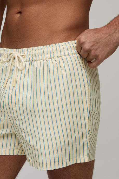 Stripe Short Length Swim Short - Image 3