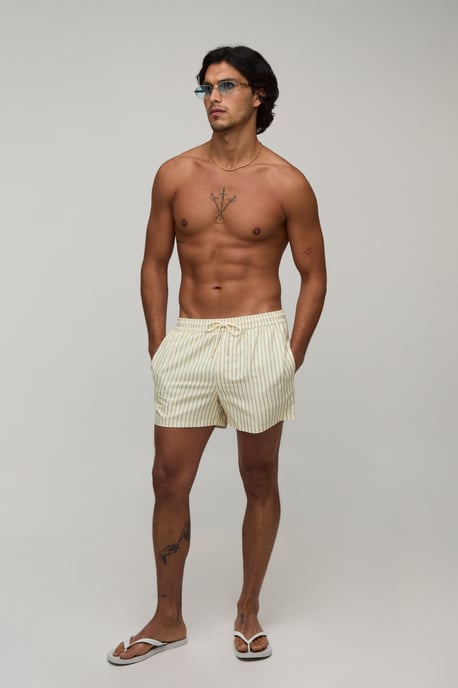 Stripe Short Length Swim Short - Image 4