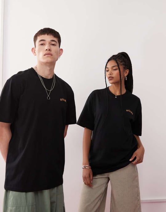Dickies panther grafik ryggtryck t-shirt i svart - exklusiv för ASOS - Image 4