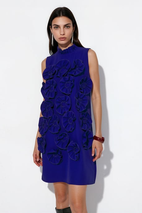 Embroidered Sleeveless Mini Dress - Image 1