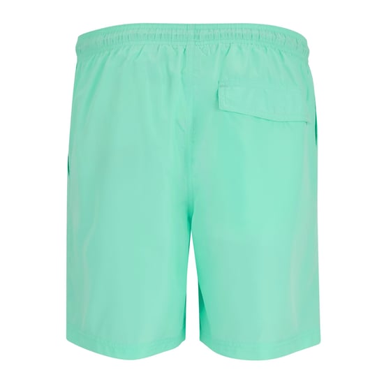 Regatta Mens Mackleyna Swim Shorts (Ice Green) - Image 2