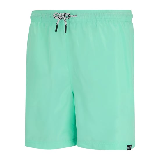 Regatta Mens Mackleyna Swim Shorts (Ice Green) - Image 3