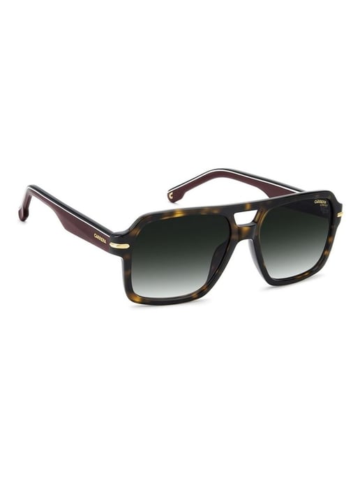 Carrera Bruna Acetat Solglasögon - Image 4