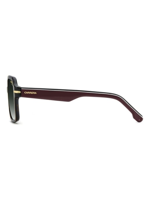 Carrera Bruna Acetat Solglasögon - Image 5
