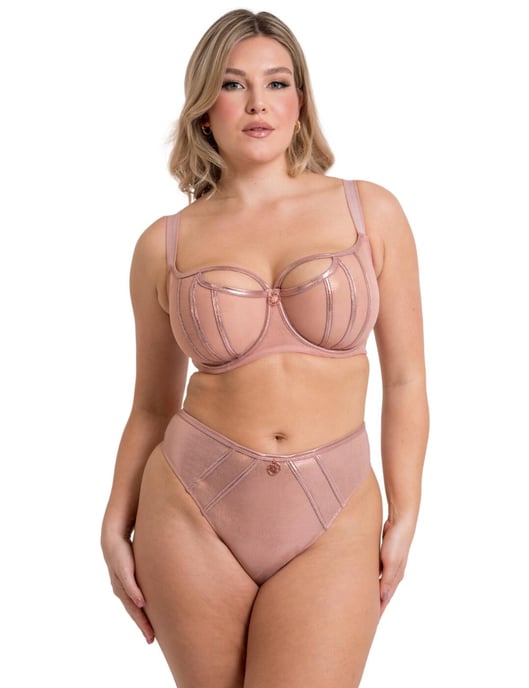 ST045200 Scantilly by Curvy Kate Eos Thong - - Image 4