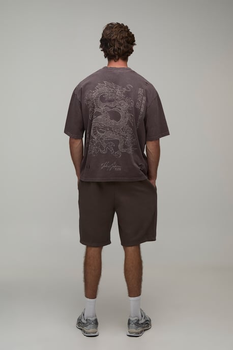 Washed Chocolate Oversized Boxy Dragon Print Distressed T-Shirt - Image 2