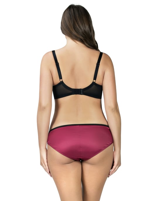 6905 Parfait Charlotte Brief - - Image 5