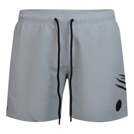 Logo Boardshort Swim Shorts in Silver - Image 1