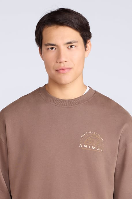 'Jonah' Men's Drop Shoulder Sweatshirt Casual Lightweight Cotton Pullover Jumper Brown - Image 3