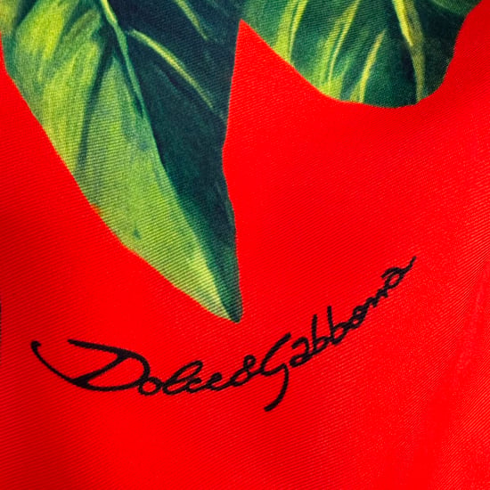 Dolce & Gabbana Shell Beach Sarong Halsduk i Flerfärgad Siden - Image 5